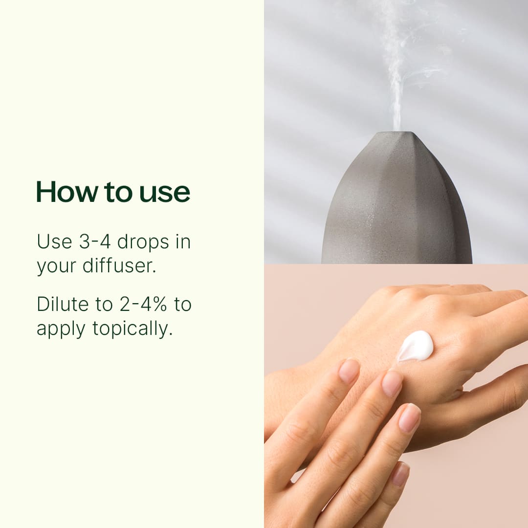 Citrus Rise Essential Oil Blend