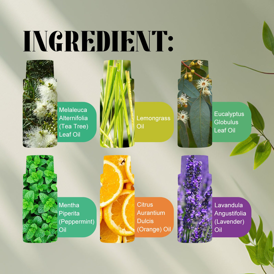 Hydrating Essential Oil Set for Body Care