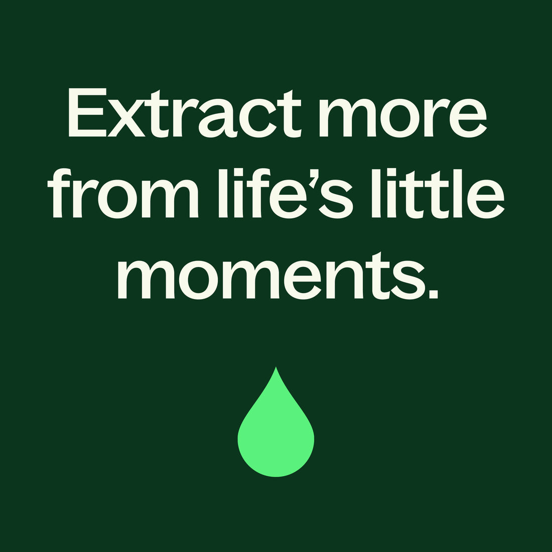 Organic Lemon Basil Essential Oil Blend