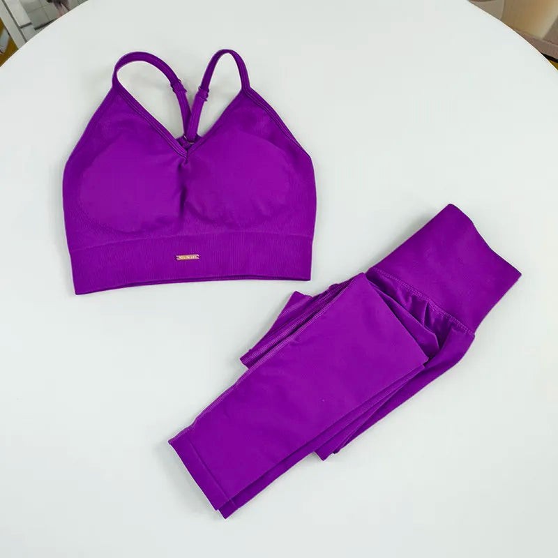 Women's Seamless High Waist Yoga Gym Set